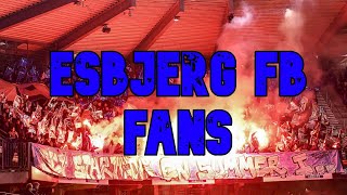 ESBJERG FB FANS  BEST MOMENTS DENMARK [upl. by Nhabois110]