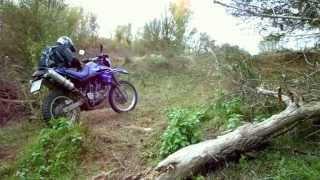 THE RIVERSIDE Yamaha XT660R [upl. by Pevzner]