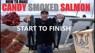 howto Easily Make Amazing Candy Smoked Salmon  recipe [upl. by Mairb]