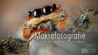 Makrofotografie  Die Welt mit anderen Augen sehen [upl. by Karia]