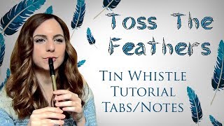 Toss The Feathers  The Corrs  Tin Whistle Tutorial Tabs Notes [upl. by Nylodnew423]