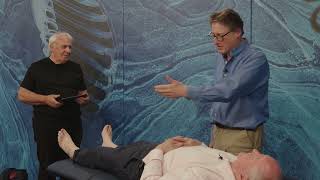 Reflexes and power Neurological examination by Barry Jacobs  Osteopathic and Chiropractic CPD [upl. by Krock]