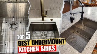 Best Undermount Kitchen Sinks Top 5 Picks  Stainless Steel SingleDouble Kitchen Sinks [upl. by Etac696]