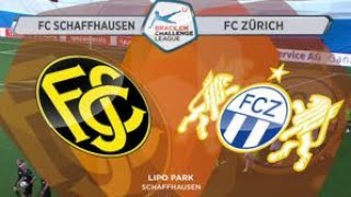 Fc Schaffhausen vs Fc Zürich 270517 [upl. by Goulder]