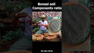 Bonsai soil components ratio gardening kitchengardenexpert herb farming kitchengardeningtips [upl. by Htomit299]