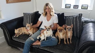 Vlog 6  Life with 5 Chihuahuas  A Doggy Diary Part 1 [upl. by Alda814]