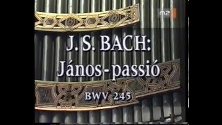 Bach Johannes Passion BWV 245  magyar felirattal  Vashegyi Orfeo [upl. by Guerra288]