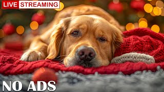 🔴Separation anxiety in dogs  Ease Your Dogs Anxiety With our Ultimate Music Collection Dog Relax [upl. by Ispep]