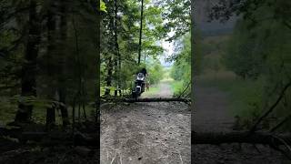 230 KG TREE JUMP 🏍️🌴 [upl. by Beverlee]