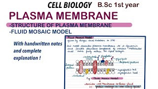 Plasma Membrane  FLUID MOSAIC MODEL  CELL BIOLOGY  BSc 1st year [upl. by Hedvig]