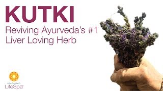 Kutki Reviving Ayurvedas 1 Liver Loving Herb  John Douillards LifeSpa [upl. by Neelcaj]