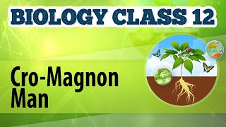 CroMagnon Man  Origin and Evolution of Life  Biology Class 12 [upl. by Erik]