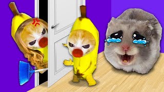 Banana Cats Big Heart Saving Sad Hamster Facing Moms Wrath 🐱  Baby Banana Cat Compilation 😿 [upl. by Nevah]