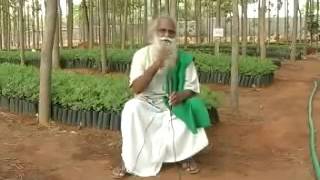 Great Speech by Nammalvar [upl. by Denten515]