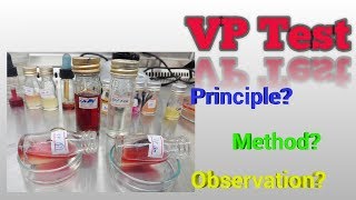 Voges Proskaur Test Microbiology [upl. by Namreg]