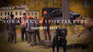 Drevjakt i oktober 2024 [upl. by Martynne]