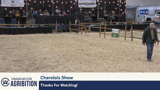 CWA 2024  Charolais Show Broadcast  Regina SK [upl. by Charlena]