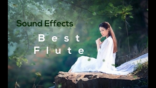 Best Flute Ringtone  Sound Effects [upl. by Leffert]