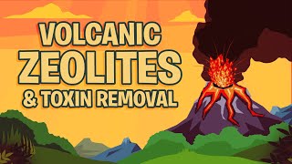 Volcanic Zeolites amp Toxin Removal [upl. by Aseek456]