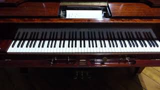 Gottschalk quotThe banjoquot interprété par Arthur Friedheim Duoart roll 5745 Steinway grand piano [upl. by Atinrahc326]