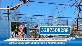 Bracconaggio un sequestro ad Abbiategrasso [upl. by Anerbas798]