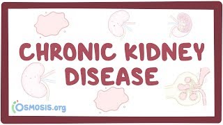 Chronic kidney disease  causes symptoms diagnosis treatment pathology [upl. by Alaik456]