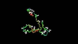 protein folding [upl. by Dianuj780]