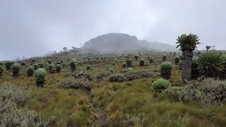 Table Mountain Aberdares Double Challenge [upl. by Anaidni]