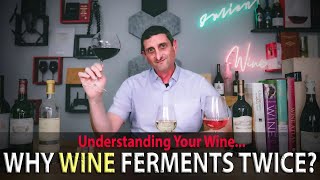 Why Does White Wine Taste like Butter How Malolactic Fermentation Changes Wine [upl. by Jeffery]