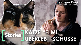 Tierretterin geschockt Brutale Angriffe auf ihre Katzen  Kamera Zwei [upl. by Enayd]