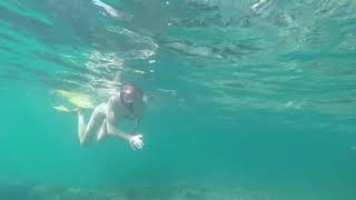 Snorkeling at Blue Lagoon Nacula Fiji GoPro [upl. by Spiegelman740]