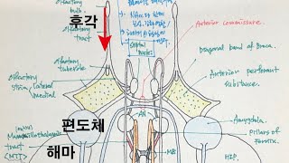 소통 우리의 후각에 대한 소통 건축과 후각 建筑与嗅觉 about Olfactory sence [upl. by Misti]