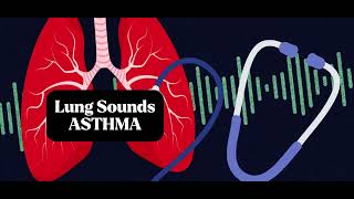 Understanding Asthma Lung Sounds Accurate Lung Assessment [upl. by Hayifas]