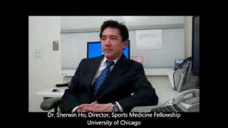 Dr Sherwin Ho University of Chicago ARTHRO Mentor [upl. by Hallette98]