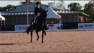 Equestrian TipsImprove Your Dressage Walk Pirouettes [upl. by Bibi]