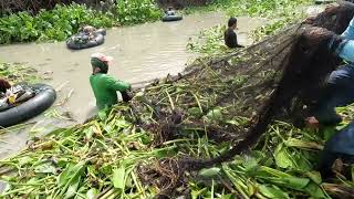 salok pangingisda sa ilog Victoria [upl. by Fenner]