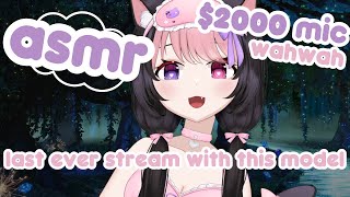 【3dio asmr】last stream ever with this model come say goodbye ♡【darlingstrawb】【02222024】 [upl. by Gaby]