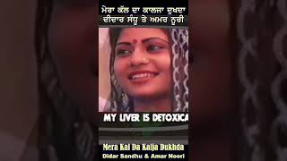 Didar Sandhu Amar Noori  Kal Da Kalja Dukhda [upl. by Salvucci780]