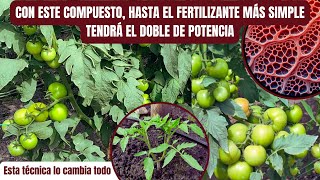 CON ESTE TRUCO DE FERTILIZACIÓN FOLIAR Y ESTOS COMPUESTOS se aprovechan 10 veces más Fertilizantes [upl. by Sirraf638]