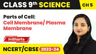 Parts of Cell Cell Membrane Plasma Membrane  Class 9 Biology Chapter 5 [upl. by Alexei]