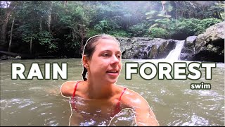 WILD SWIMMING IN A WATERFALL in the rain forest  Springbrook QLD Australia [upl. by Cindee]