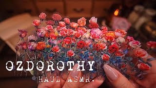 ASMR🎧ㅣ 오즈도로시 ㅣNEW Items💥ㅣStationery HaulㅣJournal suppliesㅣ협찬ㅣJournalingㅣScrapbooking [upl. by Suiravat]