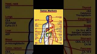 Tumor Markers [upl. by Ginnie]