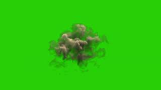 Dust Explosion  Green Screen Chroma Footage [upl. by Fidelity954]