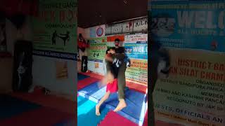 wushu training hardwork motivation [upl. by Hanleigh]