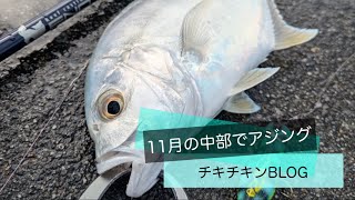 11月の中部でアジング 沖縄 中部 釣り ルアーフィッシング ライトゲーム アジング fishing okinawa fishingvideo [upl. by Zanahs]