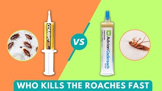 Advion Vs Combat Cockroach Gel Bait Who Kills The Roaches Fast [upl. by Naziaf]