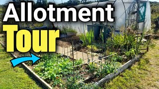 Allotment Transformation  Whats Growing Now [upl. by Weeks]