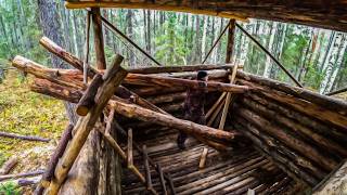 Building a hut in the Taiga Walls almost done Cooking over a campfire fast and with passion [upl. by Mllly234]