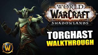 Torghast Week 1 Walkthrough  The Soul Forges  World of Warcraft Shadowlands [upl. by Etnohc]